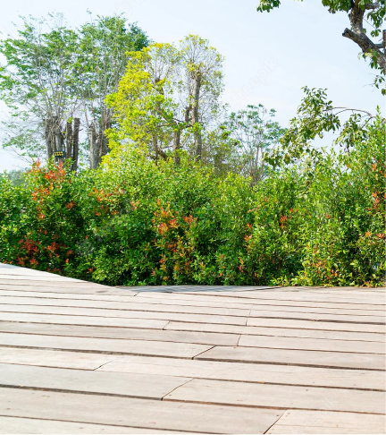 Construction terrasse Pessac (33)